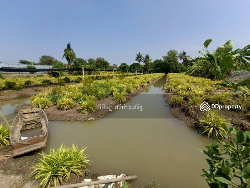 นนทบุรี, -, บางใหญ่, นนทบุรี, 6,368 ตร.ม., ที่ดิน ขาย, โดย วิศิษฏ์ ศรีประเสริฐ, 11349858 - DDproperty.com