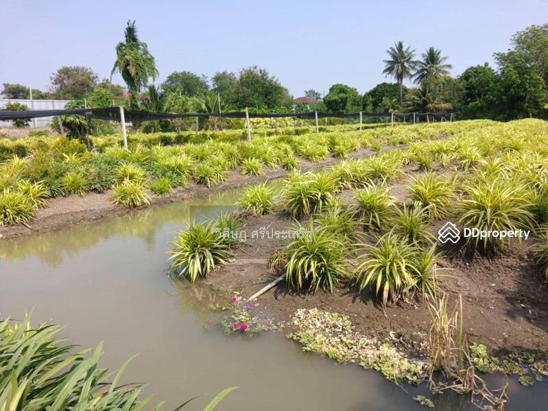 nonthaburi, -, Bang Yai, Nonthaburi, , 6,368 sqm, Land For Sale, by WISIT SRIPRASERT, 11349858 - DDproperty.com
