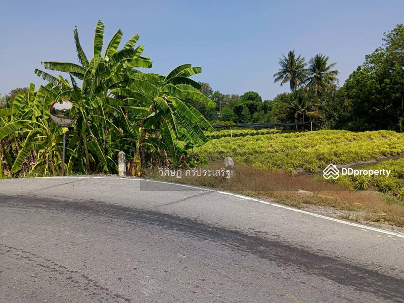 นนทบุรี, -, บางใหญ่, นนทบุรี, 6,368 ตร.ม., ที่ดิน ขาย, โดย วิศิษฏ์ ศรีประเสริฐ, 11349858 - DDproperty.com