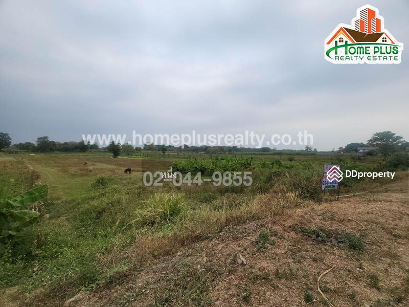 ที่ดินติดริมแม่น้ำโขงใกล้เมกาโฮมนครพนมตำบลท่าค้อ อำเภอเมือง นครพนม เนื้อที่ 2 ไร่ 21 ตารางวา, Nakhon Phanom, Tha Kho, Muang Nakhon Phanom, Nakhon Phanom, , 3,284 sqm, Land For Sale, by หนึ่ง, 11351104 - DDproperty.com