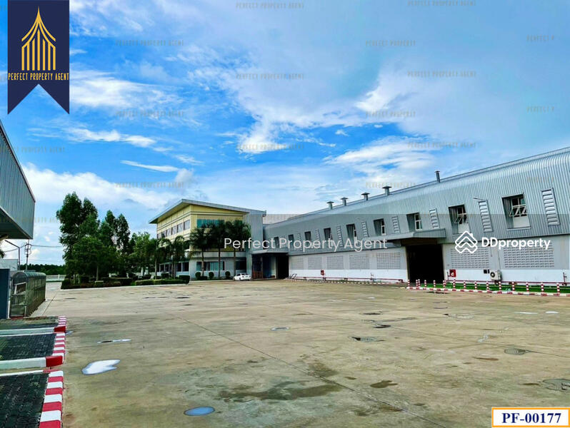 โรงงาน ชลบุรี 58 ไร่, Chon Buri (Pattaya), - -, Bo Kwang Thong, Bo Thong, Chon Buri (Pattaya), , 94,340 sqm, Warehouse/Factory For Sale, by ปภัชญา ธนัตถ์ภรณ์, 11352350 - DDproperty.com