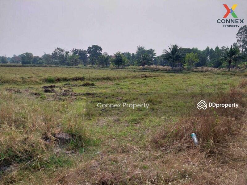 ขาย - ที่ดินเปล่า อ.แปลงยาว จ.ฉะเชิงเทรา, ฉะเชิงเทรา