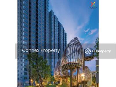 ขาย - Elio Del Nest : เอลิโอ เดล เนสท์, กรุงเทพ