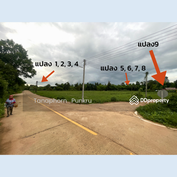 For Sale - land for sale by the owner, Ubon Ratchathani