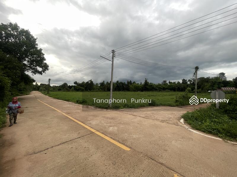 For Sale - land for sale by the owner, Ubon Ratchathani