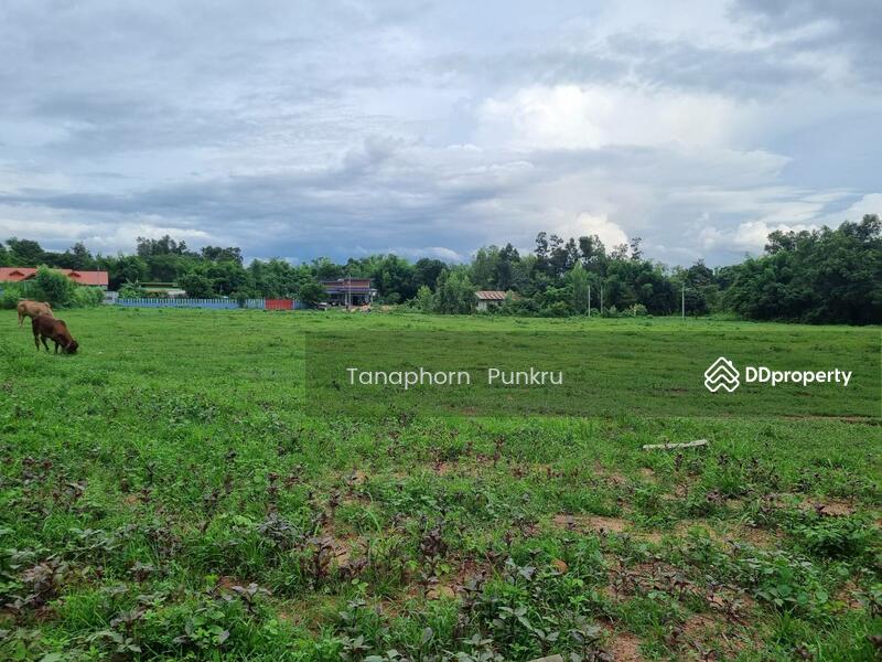 For Sale - land for sale by the owner, Ubon Ratchathani