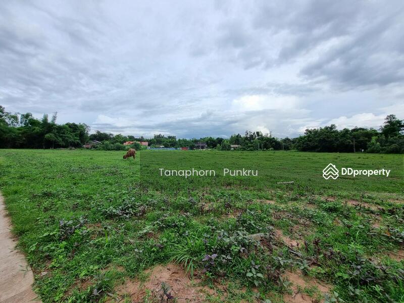 For Sale - land for sale by the owner, Ubon Ratchathani