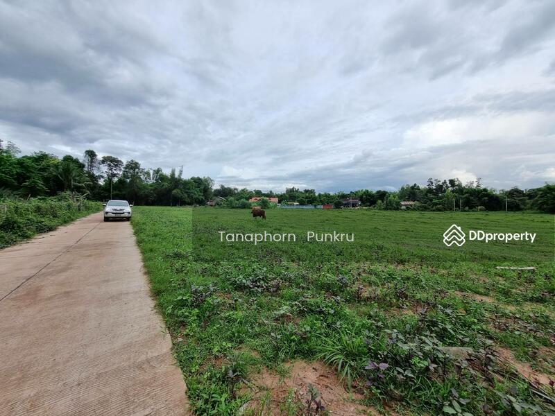 For Sale - land for sale by the owner, Ubon Ratchathani