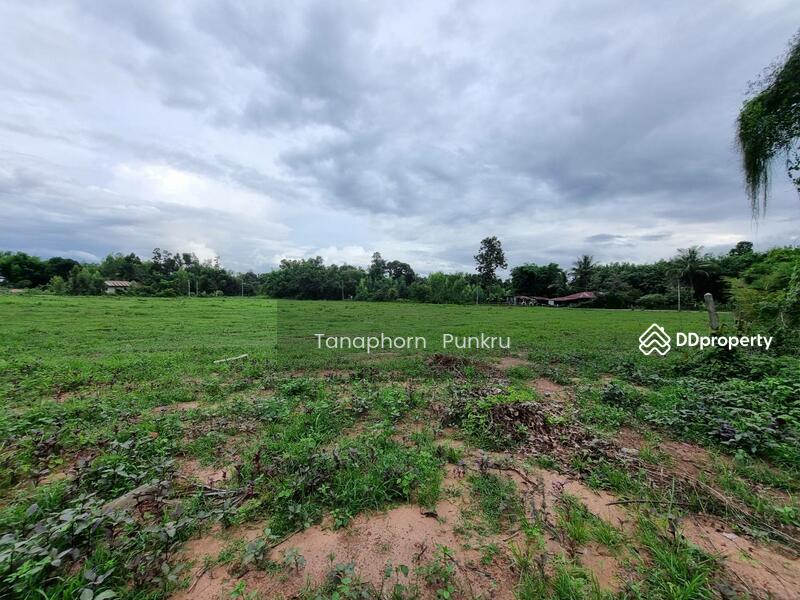 For Sale - land for sale by the owner, Ubon Ratchathani