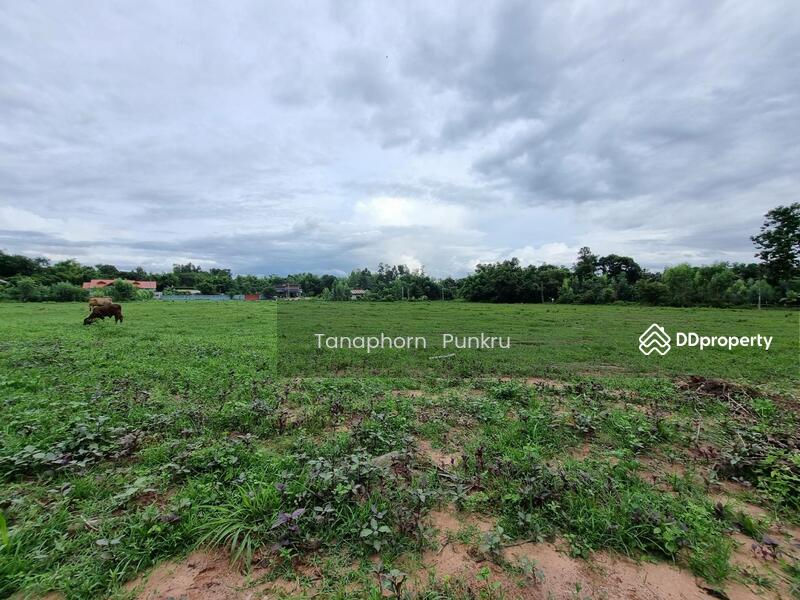 For Sale - land for sale by the owner, Ubon Ratchathani