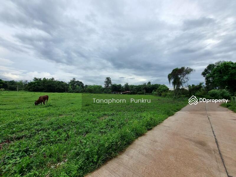 For Sale - land for sale by the owner, Ubon Ratchathani