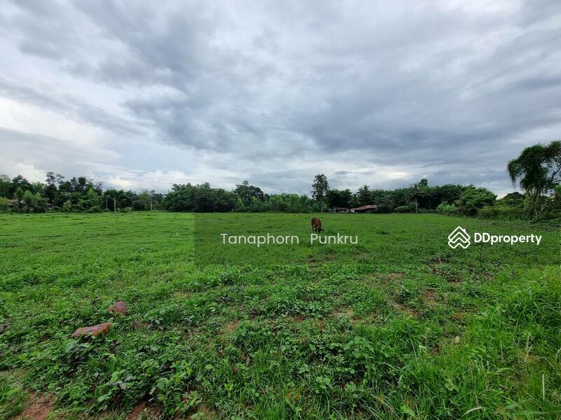 For Sale - land for sale by the owner, Ubon Ratchathani