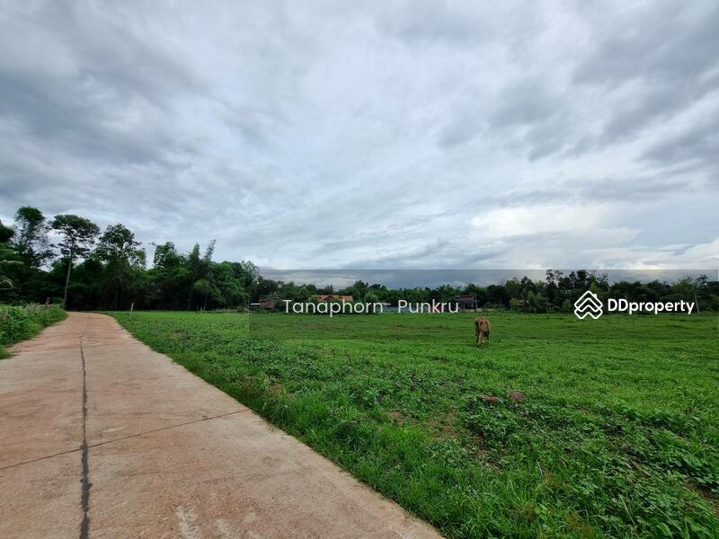 For Sale - land for sale by the owner, Ubon Ratchathani