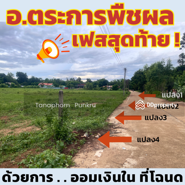 For Sale - land for sale by the owner, Ubon Ratchathani