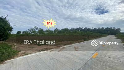 ขาย - ขายที่ดินเปล่ายกแปลง 23-3-57 ไร่ ต.สุรศักดิ์ อ.ศรีราชา จ.ชลบุรี ใกล้มอเตอร์เวย์, ชลบุรี