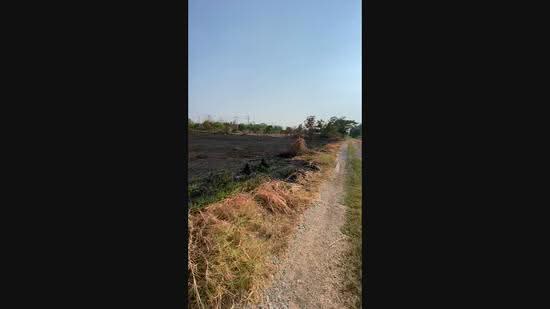 Land Klong12 Nongchok Bangkok, Bangkok, ถนนประชาสำราญ, Khlong Sibsong, Nong Chok, Bangkok, , 1,784 sqm, Land For Sale, by Khun cell, 11356668 - DDproperty.com