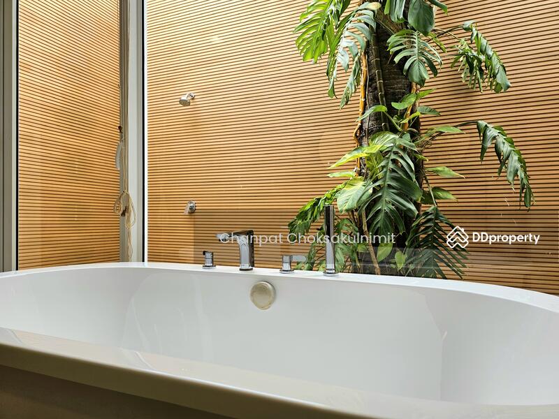 Pranluxe, ประจวบคีรีขันธ์, หัวหิน, หัวหิน, ประจวบคีรีขันธ์, 390 ตร.ม., บ้านเดี่ยว ขาย, โดย Chanpat Choksakulnimit, 11357848 - DDproperty.com