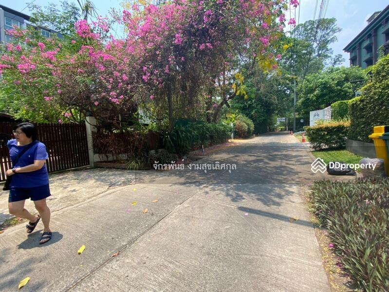 ขาย - ที่ดินพร้อมส่งปลูกสร้าง ซอยพลับพลึง ต.ช้างเผือก อ.เมือง จ.เชียงใหม่, เชียงใหม่