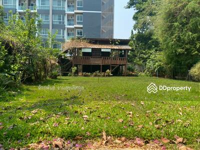 ขาย - ที่ดินพร้อมส่งปลูกสร้าง ซอยพลับพลึง ต.ช้างเผือก อ.เมือง จ.เชียงใหม่, เชียงใหม่