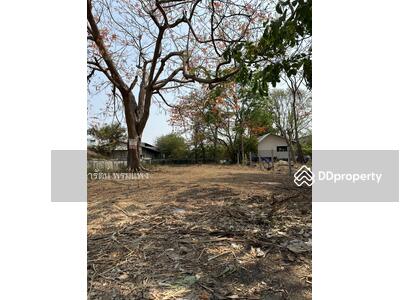 ขาย - ที่ดินเปล่าถมแล้ว เนื้อที่ 1 งาน 82.4ตรว. ซอยสายไหม 54 ถนนสายไหม แขวงสายไหม เขตสายไหม จ.กรุงเทพ, กรุงเทพ