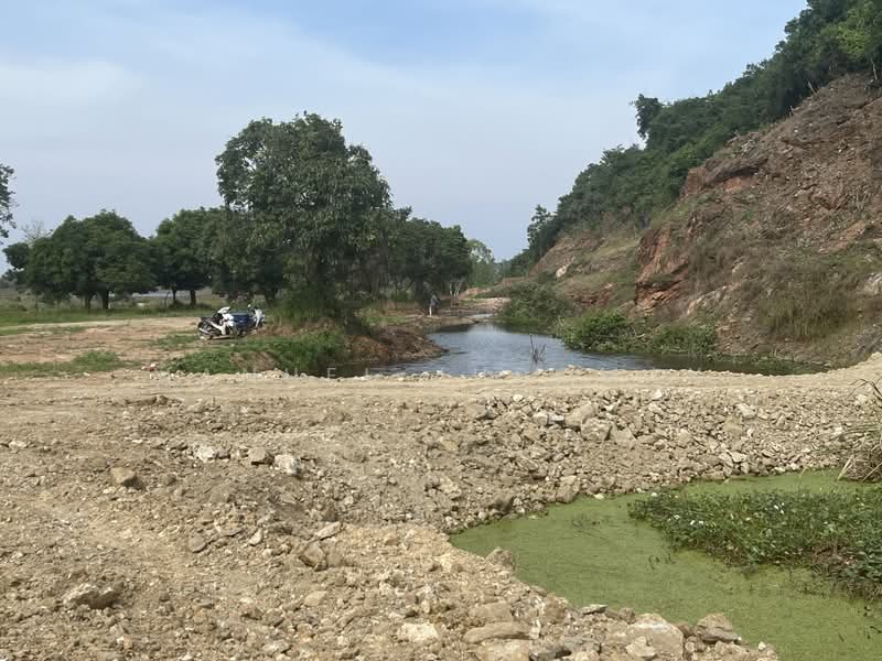 6 Rais Valley land; Sai 3, Soi 10, Paknam Pran, Prachuap Khiri Khan, Wang-Pong, Pran Buri, Prachuap Khiri Khan, , 9,600 sqm, Land For Sale, by Manuel Juromay, 11361415 - DDproperty.com