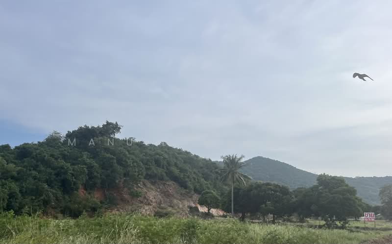 6 Rais Valley land; Sai 3, Soi 10, Paknam Pran, Prachuap Khiri Khan, Wang-Pong, Pran Buri, Prachuap Khiri Khan, , 9,600 sqm, Land For Sale, by Manuel Juromay, 11361415 - DDproperty.com