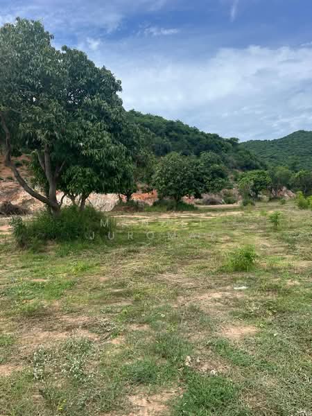 6 Rais Valley land; Sai 3, Soi 10, Paknam Pran, Prachuap Khiri Khan, Wang-Pong, Pran Buri, Prachuap Khiri Khan, , 9,600 sqm, Land For Sale, by Manuel Juromay, 11361415 - DDproperty.com
