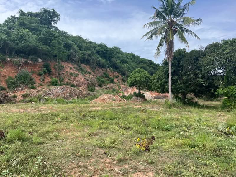6 Rais Valley land; Sai 3, Soi 10, Paknam Pran, Prachuap Khiri Khan, Wang-Pong, Pran Buri, Prachuap Khiri Khan, , 9,600 sqm, Land For Sale, by Manuel Juromay, 11361415 - DDproperty.com