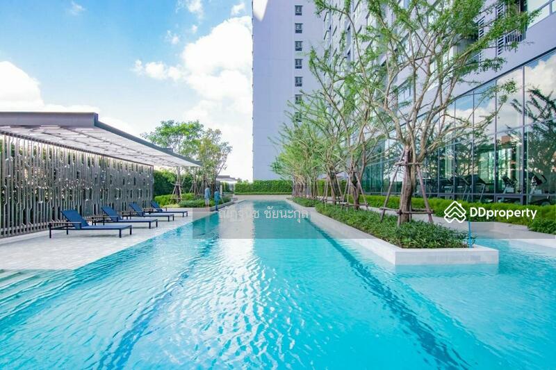 IDEO Sukhumvit 93, Bangkok, 2331 Soi Sukhumvit 93, Bang Chak, Phra Khanong, Bangkok, 1 Bedroom, 32 sqm, Condo For Rent, by ณัฏฐนิช​ ชัยนะกุล, 11362586 - DDproperty.com