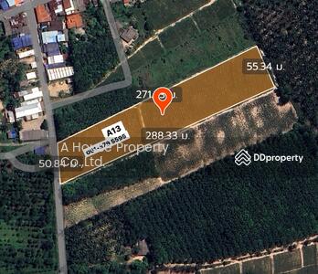 ขาย - ขายที่ดินหนองเสือช้าง แปลงสวย ติดถนนลาดยาง, ชลบุรี