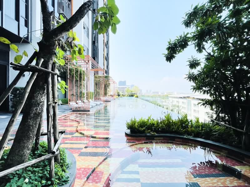 The Line Sukhumvit 101 : เดอะ ไลน์ สุขุมวิท 101, กรุงเทพ, 3009 สุขุมวิท 101, บางจาก, พระโขนง, กรุงเทพ, 33 ตร.ม., คอนโด ให้เช่า, โดย CS Poon, 11363895 - DDproperty.com