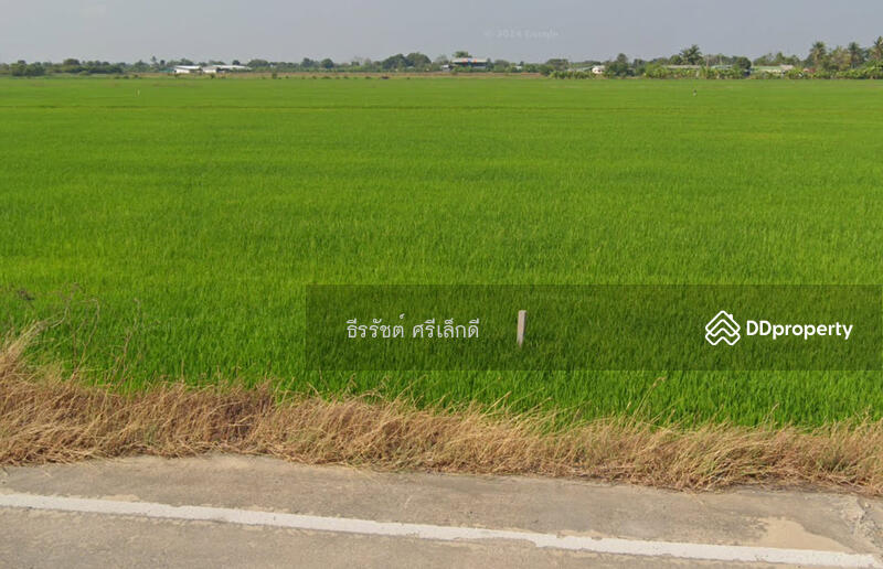 4,8,13-62 ไร่ ใกล้ M81 มอเตอร์เวย์ บางใหญ่-กาญ หน้ากว้างเกิน 50 เมตรทุกเเปลง ติดถนนคอนกรีตขนาดใหญ่, นครปฐม, 3038, คลองนกกระทุง, บางเลน, นครปฐม, 14,397 ตร.ม., ที่ดิน ขาย, โดย ธีรรัชต์ ศรีเล็กดี, 11364512 - DDproperty.com