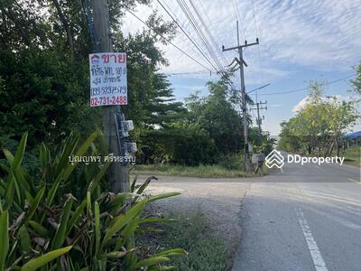 ขาย - ที่ดินสวย และถูก ! ที่สุดในย่าน หนองเสือ 100 ตารางวา คุ้มสุดๆๆแล้ว, ปทุมธานี