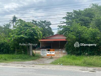 ขาย - ที่ดินถนนบ้านกล้วย-ไทรน้อย, นนทบุรี