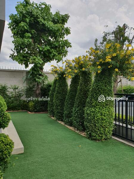 Baan, Bangkok, รามอินทรา65, Tha Rang, Bang Khen, Bangkok, 4 Bedrooms, 200 sqm, Single Detached House For Rent, by กุลจิรา อภัยโส, 11365820 - DDproperty.com