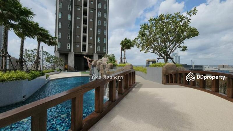 Supalai Veranda Ramkhamhaeng, Bangkok, Ramkhamhaeng Road, Hua Mak, Bang Kapi, Bangkok, Studio, 28 sqm, Condo For Rent, by ภัทร อิสรางกูร, 11366157 - DDproperty.com