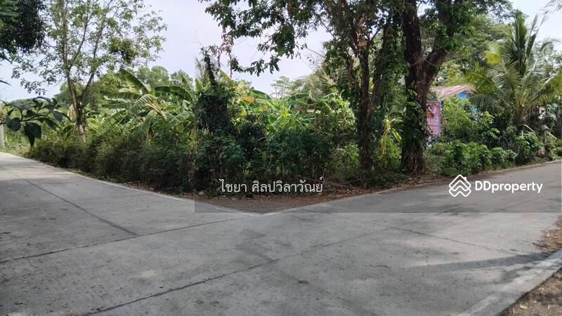 ขาย - ที่ดิน บางรักใหญ่ #หัวมุมสวย #MTR เนื้อที่ 100 ตรว.#สร้างบ้านและสวน ราคา 3.19 ลบ.#บรรยากาศเงียบสงบ, นนทบุรี