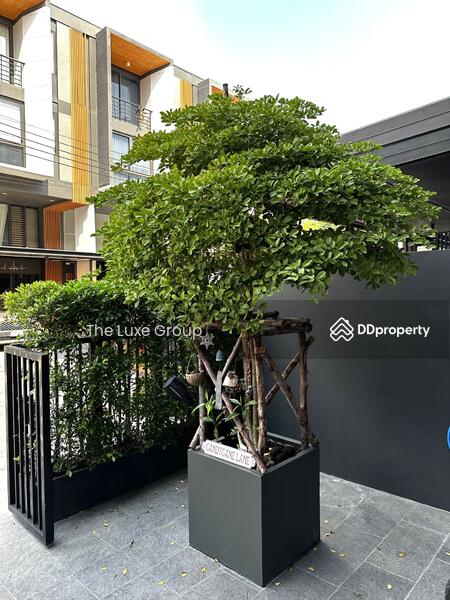 Shizen Phatthanakan 32, Bangkok, Soi Phatthanakan 32, Suan Luang, Bangkok, 3 Bedrooms, 313 sqm, Single Detached House For Rent, by The Luxe Group, 11366815 - DDproperty.com