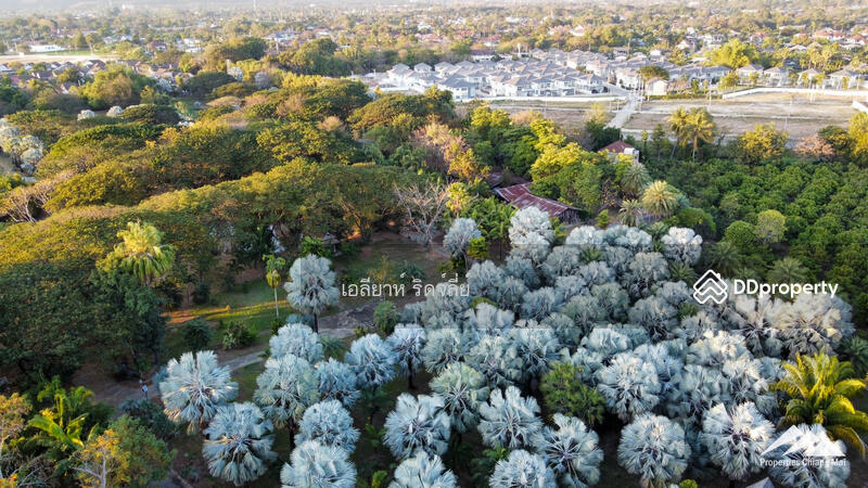 ศูนย์จัดงานล้านนาพร้อมขายที่ดิน 30 ไร่บนทางหลวงในหางดง, เชียงใหม่, หางดง, หางดง, เชียงใหม่, 48,608 ตร.ม., ที่ดิน ขาย, โดย เอลียาห์ ริดจ์ลี่ย์, 11367121 - DDproperty.com