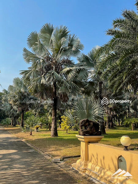 Lanna Event Center With 30 Rai Of Land For Sale On The Highway In Hang Dong, Chiang Mai, Hang Dong, Hang Dong, Chiang Mai, , 48,608 sqm, Land For Sale, by Elijah Ridgley, 11367121 - DDproperty.com