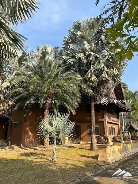 ศูนย์จัดงานล้านนาพร้อมขายที่ดิน 30 ไร่บนทางหลวงในหางดง, เชียงใหม่, หางดง, หางดง, เชียงใหม่, 48,608 ตร.ม., ที่ดิน ขาย, โดย เอลียาห์ ริดจ์ลี่ย์, 11367121 - DDproperty.com