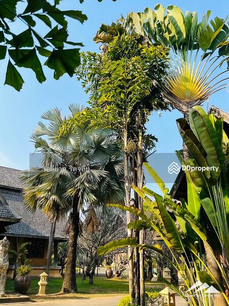 Lanna Event Center With 30 Rai Of Land For Sale On The Highway In Hang Dong, Chiang Mai, Hang Dong, Hang Dong, Chiang Mai, , 48,608 sqm, Land For Sale, by Elijah Ridgley, 11367121 - DDproperty.com