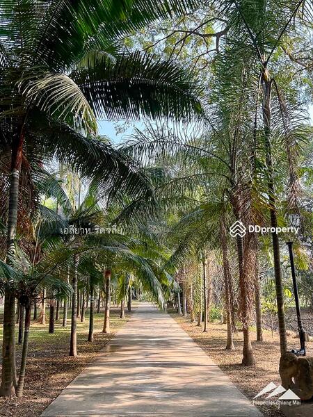 ศูนย์จัดงานล้านนาพร้อมขายที่ดิน 30 ไร่บนทางหลวงในหางดง, เชียงใหม่, หางดง, หางดง, เชียงใหม่, 48,608 ตร.ม., ที่ดิน ขาย, โดย เอลียาห์ ริดจ์ลี่ย์, 11367121 - DDproperty.com
