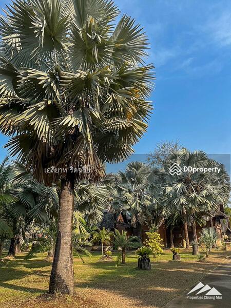 Lanna Event Center With 30 Rai Of Land For Sale On The Highway In Hang Dong, Chiang Mai, Hang Dong, Hang Dong, Chiang Mai, , 48,608 sqm, Land For Sale, by Elijah Ridgley, 11367121 - DDproperty.com