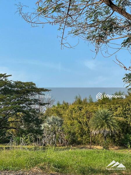 Lanna Event Center With 30 Rai Of Land For Sale On The Highway In Hang Dong, Chiang Mai, Hang Dong, Hang Dong, Chiang Mai, , 48,608 sqm, Land For Sale, by Elijah Ridgley, 11367121 - DDproperty.com