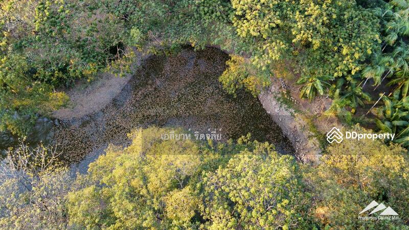 Lanna Event Center With 30 Rai Of Land For Sale On The Highway In Hang Dong, Chiang Mai, Hang Dong, Hang Dong, Chiang Mai, , 48,608 sqm, Land For Sale, by Elijah Ridgley, 11367121 - DDproperty.com