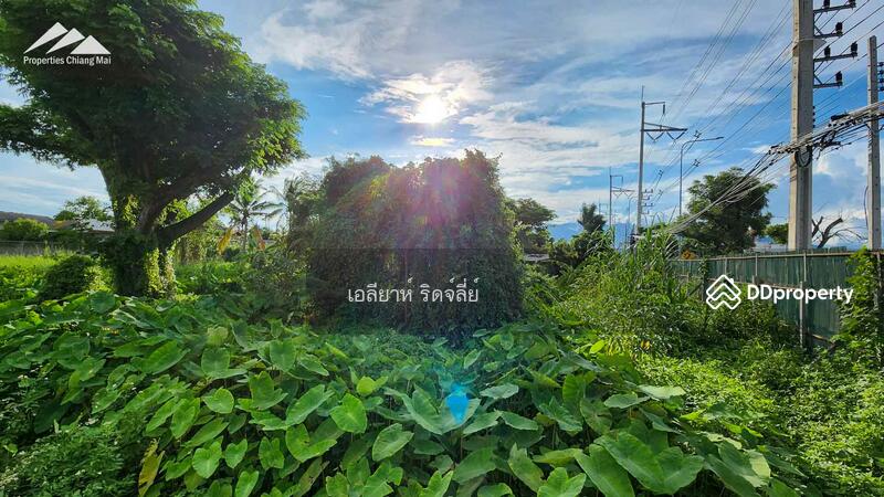 8 ไร่ + แปลงที่ดินบนทางด่วนในเมืองเชียงใหม่, เชียงใหม่, ฟ้าฮ่าม, เมืองเชียงใหม่, เชียงใหม่, 14,304 ตร.ม., ที่ดิน ขาย, โดย เอลียาห์ ริดจ์ลี่ย์, 11367129 - DDproperty.com