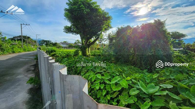 8 ไร่ + แปลงที่ดินบนทางด่วนในเมืองเชียงใหม่, เชียงใหม่, ฟ้าฮ่าม, เมืองเชียงใหม่, เชียงใหม่, 14,304 ตร.ม., ที่ดิน ขาย, โดย เอลียาห์ ริดจ์ลี่ย์, 11367129 - DDproperty.com