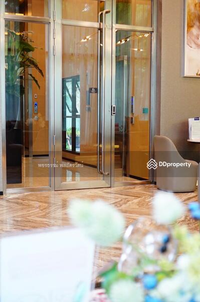 Life Sukhumvit 48, Bangkok, Soi Sukhumvit 48, Phra Kanong, Khlong Toei, Bangkok, 1 Bedroom, 30 sqm, Condo For Rent, by Rattapon Sivamok, 11367870 - DDproperty.com