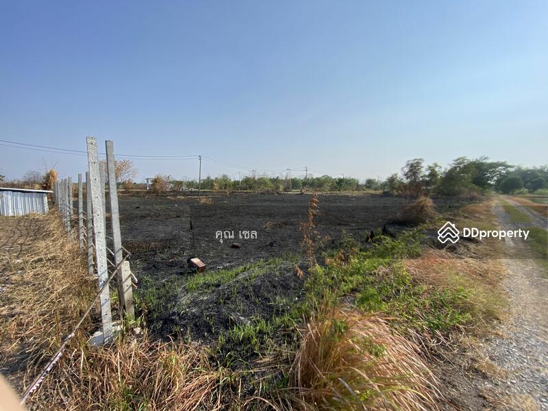 ขาย - ที่ดิน แขวงลำไทร เขตลำลูกกา, ปทุมธานี
